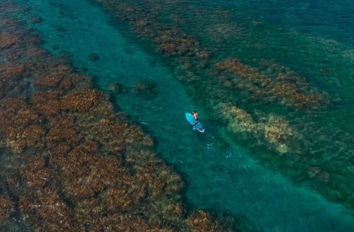 Victor_FlyAir_DJI_0245-Maui2019-Fanatic-Duotone-marcusfriedrich-media.jpg