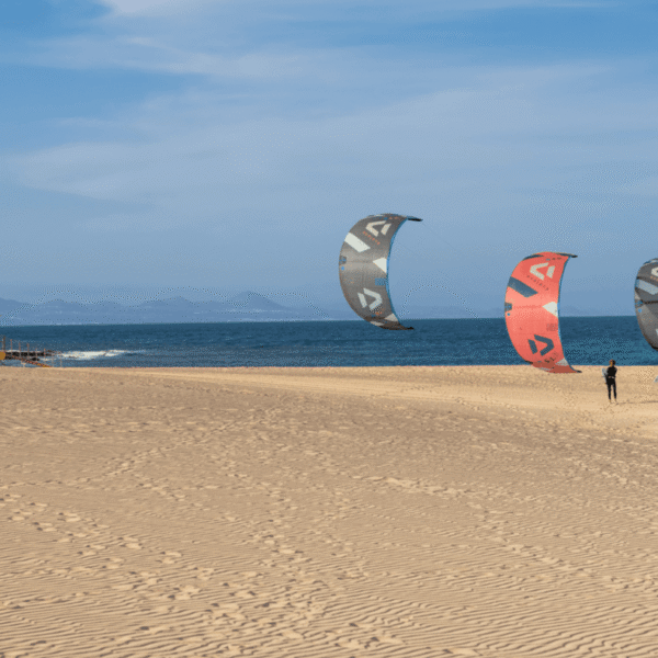 Duotone Neo SLS Kiteboarding Kite 2022