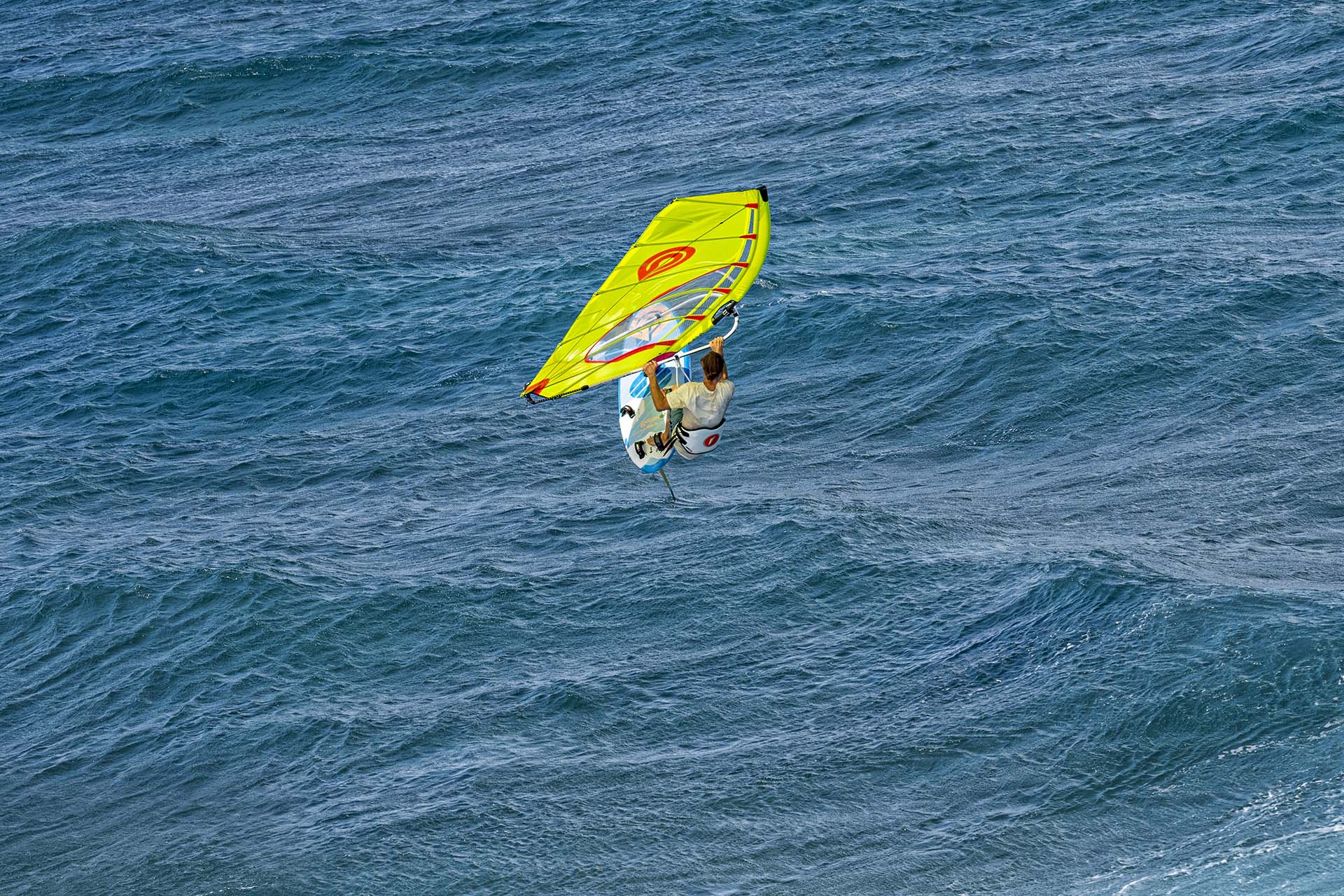 Goya Carrera Carbon Freecarve Single 2023