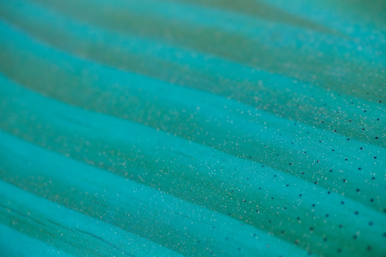 Starboard Kode Wood Sandwich Windsurf Boards 2024