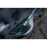 KT  Foil Blade Pro Carbon SUP Foil Paddles 2026 - Image 3