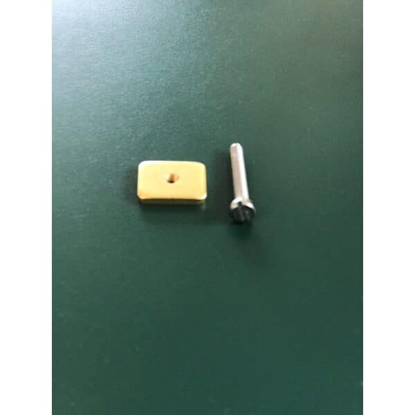 Chinook Fin Tab & Screw 25mm