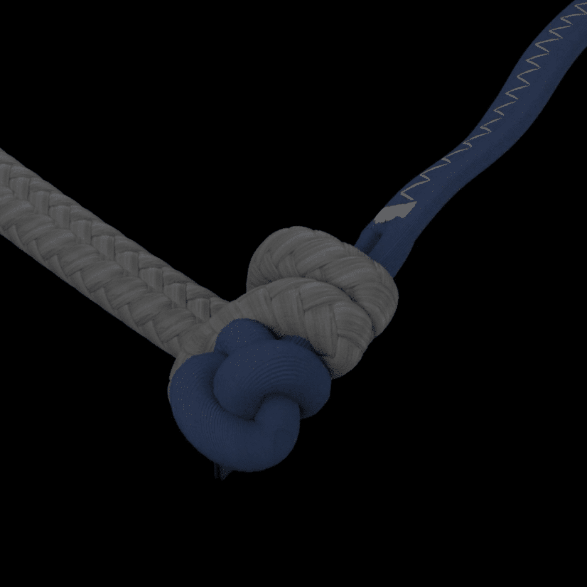 Duotone Rebel SLS Concept Blue Kiteboarding Kite 2026