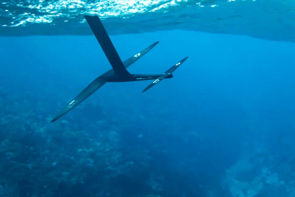 Duotone Crest D/Lab Front Foil Range 2026 Duotone Crest D/Lab Front Foil Range 2026