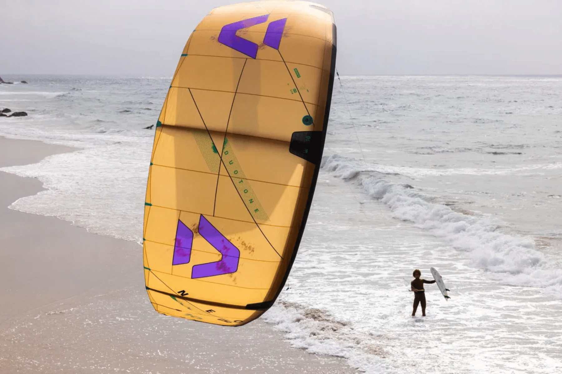 Duotone Whip D/Lab Directional Kiteboards 2026 Duotone Whip D/Lab Directional Kiteboards 2026