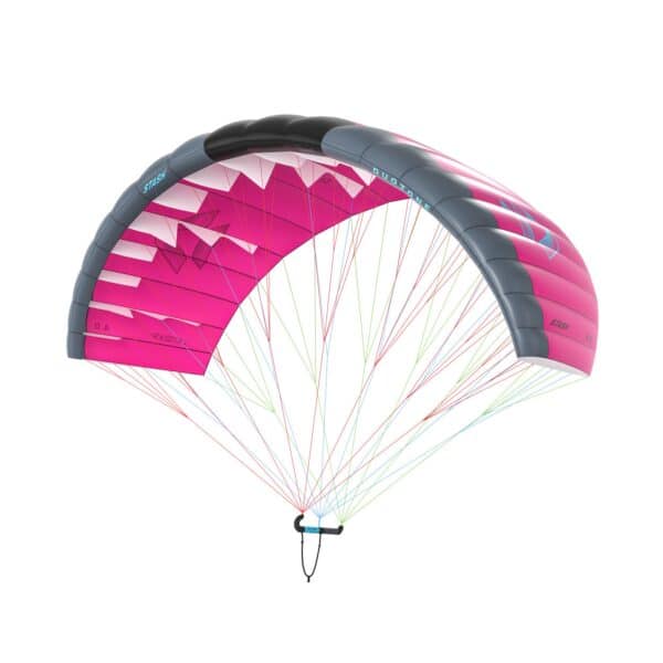 Duotone Stash Parawing 2026 - Purple/Dark Grey, 2.2m