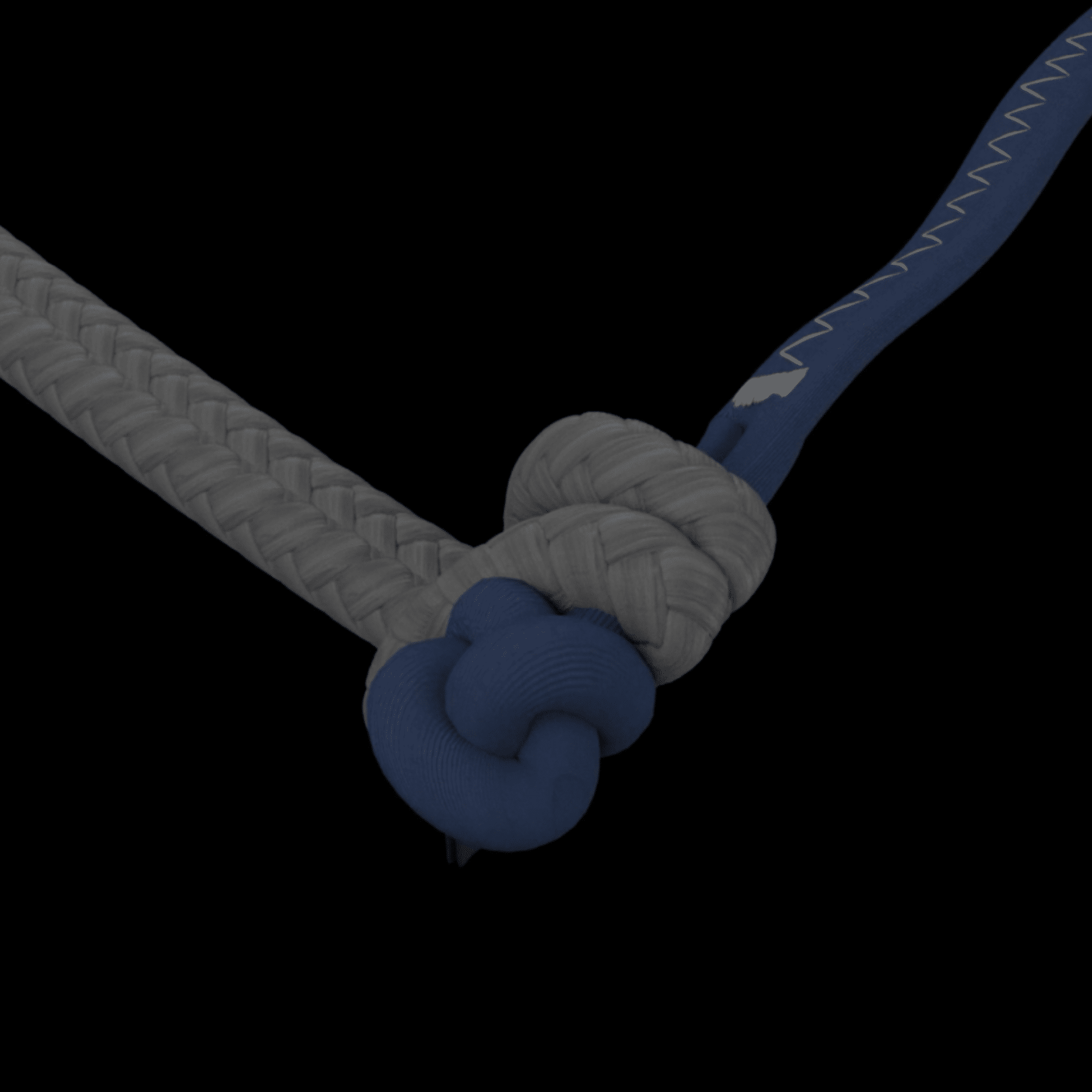 Duotone Neo Concept Blue Kiteboarding Kite 2026