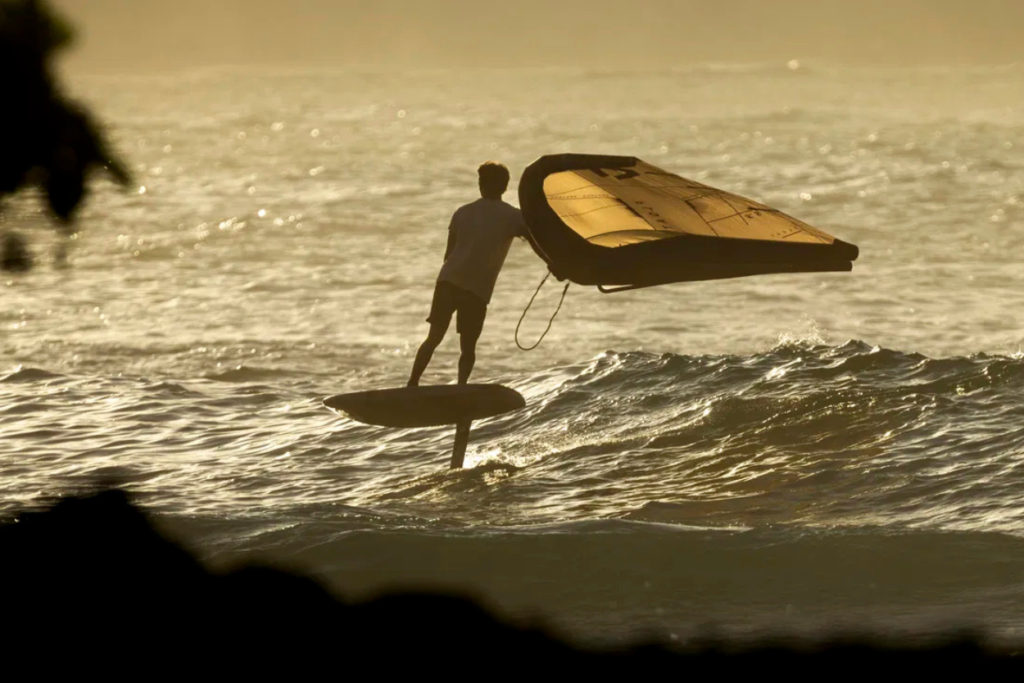 Duotone Float SLS Wing 2026