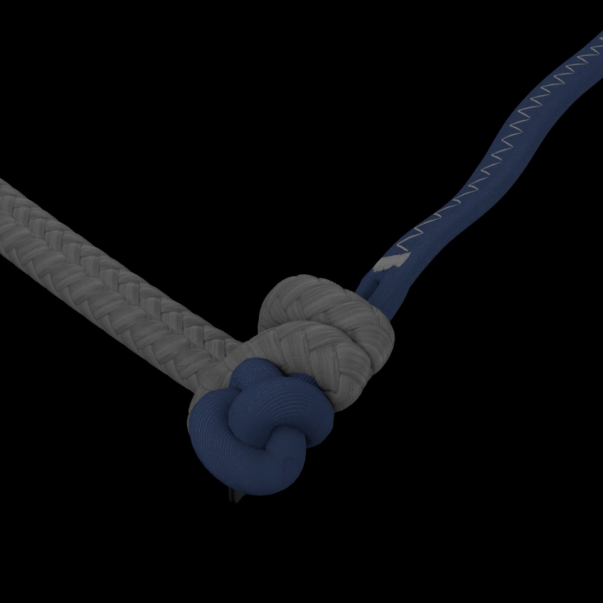 Duotone Juice Kiteboarding Kite 2026