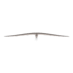 Lift Grubb Front Wing 2026 | 150 - Image 4